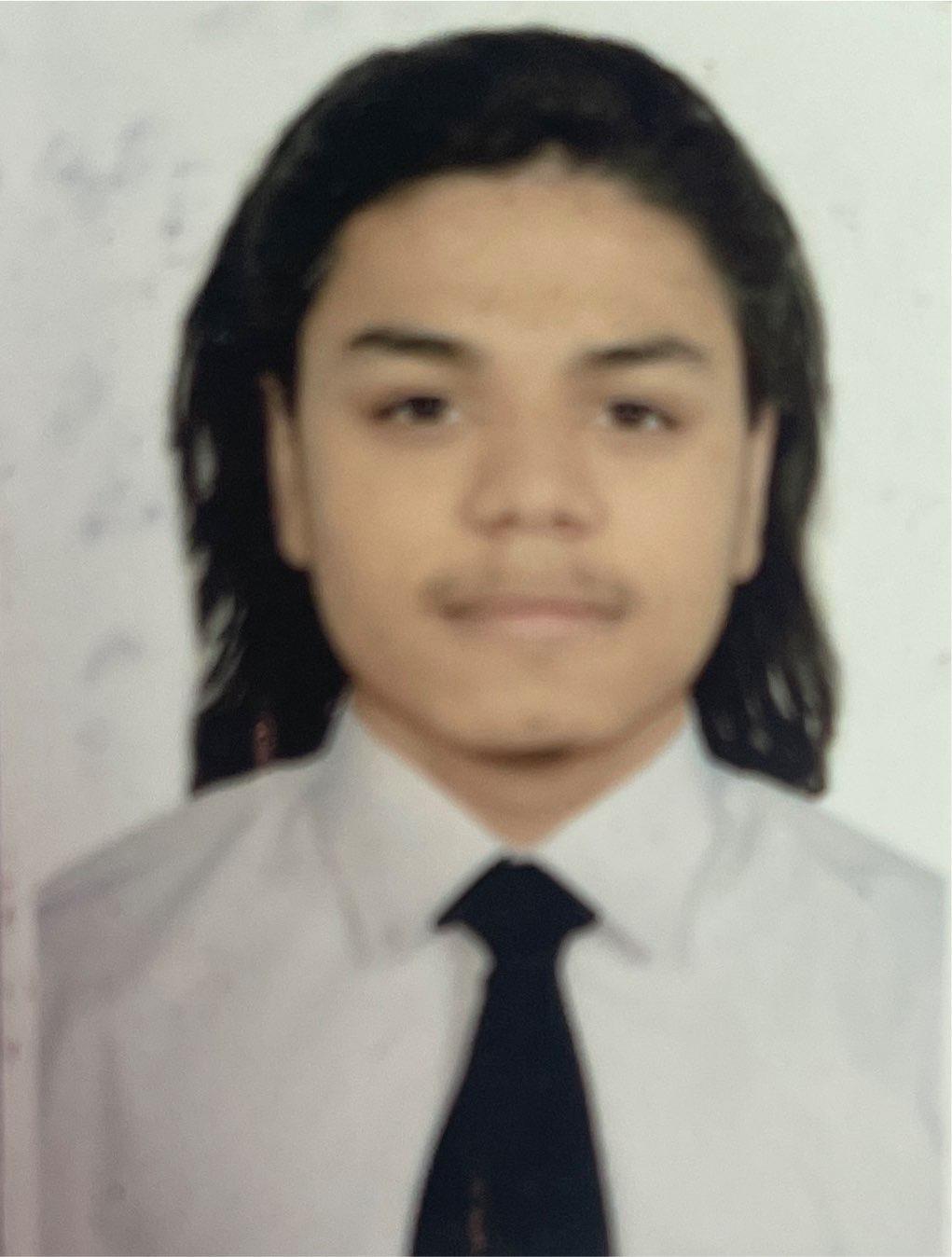 MR. MILAN LAMICHHANE