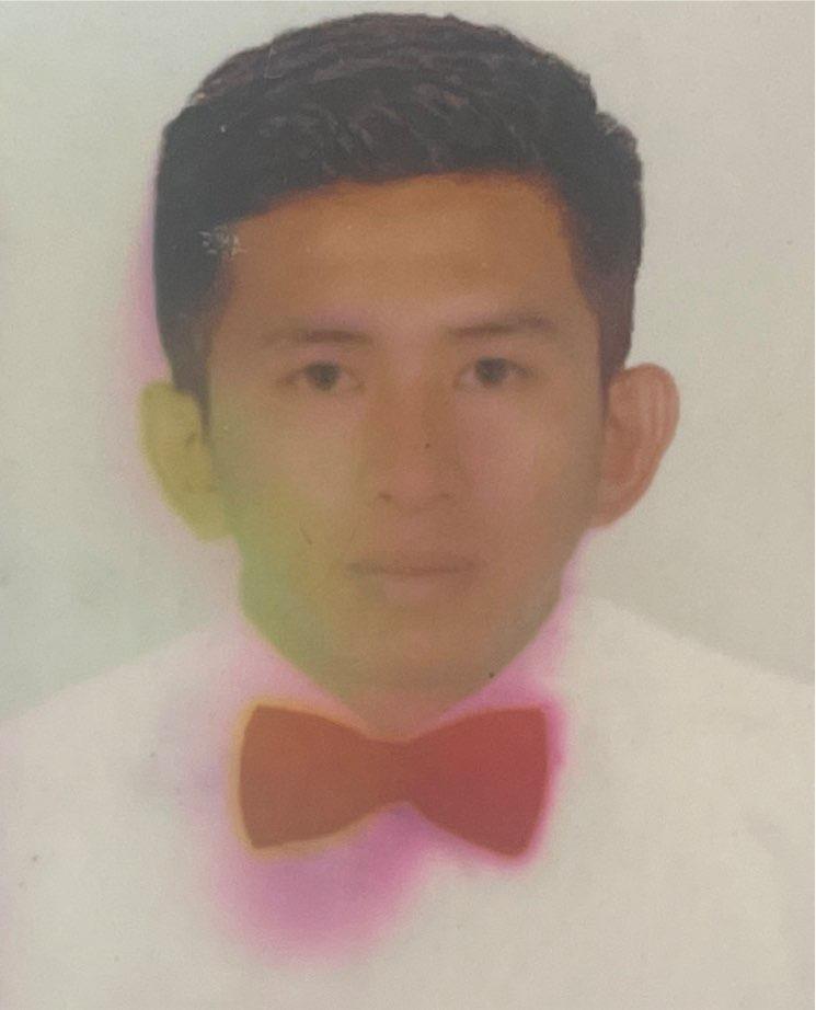 Mr. Tul Bahadur Ale Magar