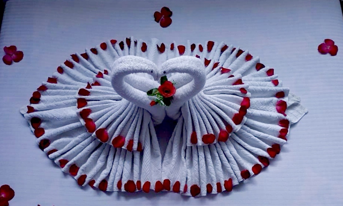 Towel Fold and Art